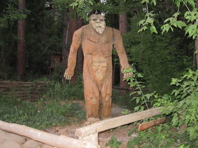 One of the inhabitants at CCL.  There were several...